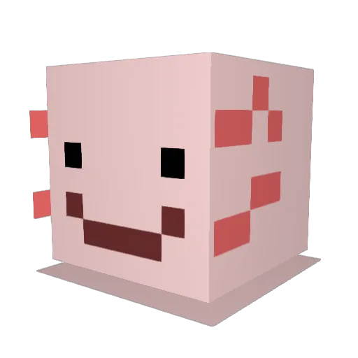 XavierTGriffith Minecraft avatar head, 3D render