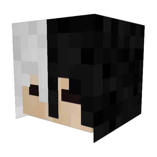 XavierV1 Minecraft avatar head, 3D render