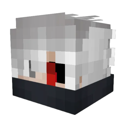 Xavier_M2988 Minecraft avatar head, 3D render