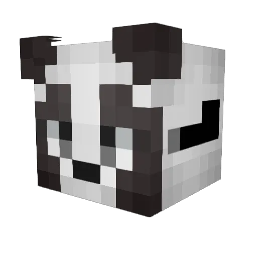 Xavier_Mand Minecraft avatar head, 3D render