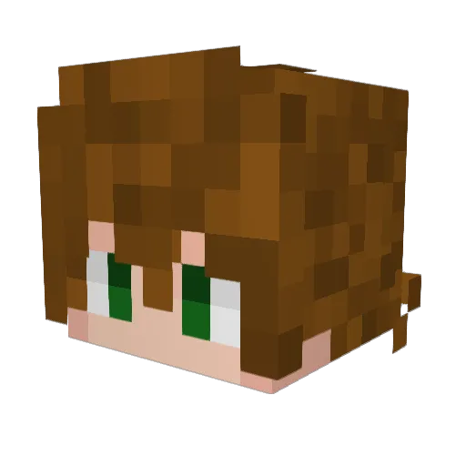 Xavier____ Minecraft avatar head, 3D render