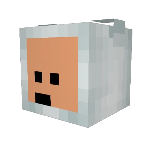 Xavierwasher Minecraft avatar head, 3D render