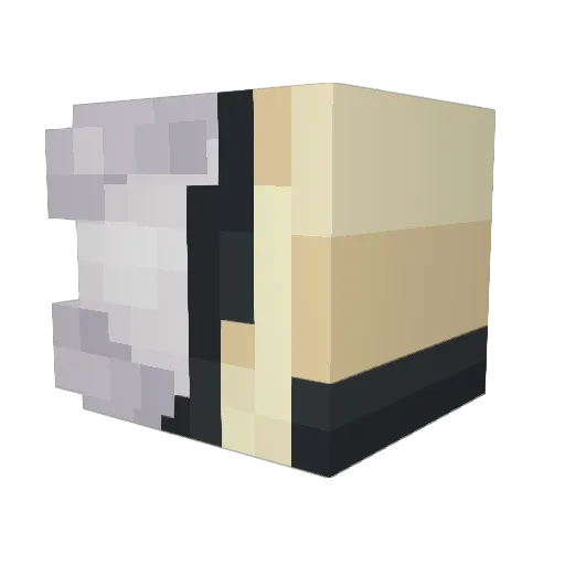 Xavior92 Minecraft avatar head, 3D render