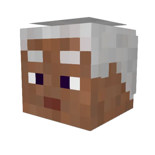 Xavr0k Minecraft avatar head, 3D render