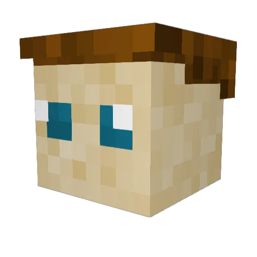 Xawery Minecraft avatar head, 3D render