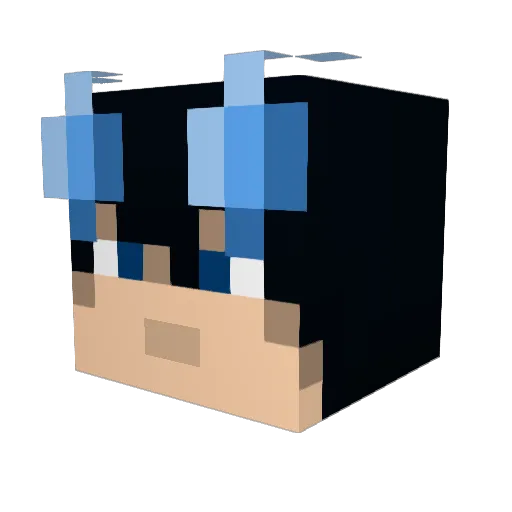 Xaxxam Minecraft avatar head, 3D render