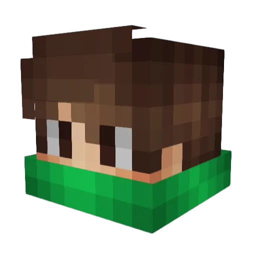 Xayexus Minecraft avatar head, 3D render