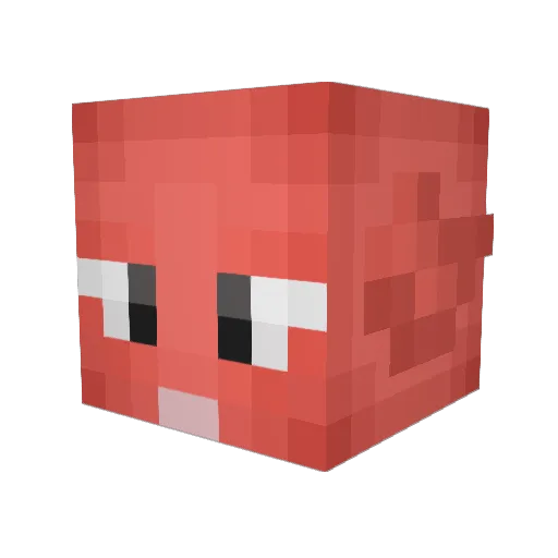 Xazzops Minecraft avatar head, 3D render
