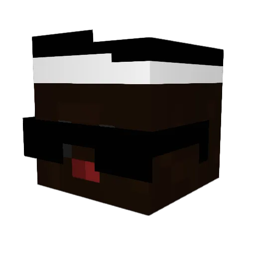 XbesserAlsAlle Minecraft avatar head, 3D render