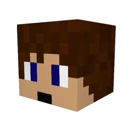 Xbimsy13 Minecraft avatar head, 3D render
