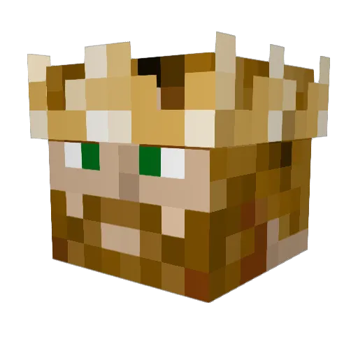 XbindX Minecraft avatar head, 3D render