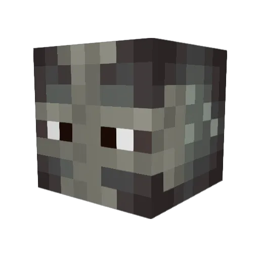 Xblack2324 Minecraft avatar head, 3D render