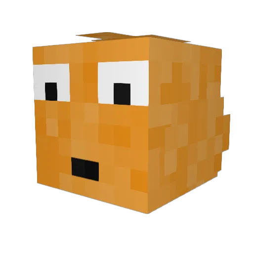 Xblade1314 Minecraft avatar head, 3D render