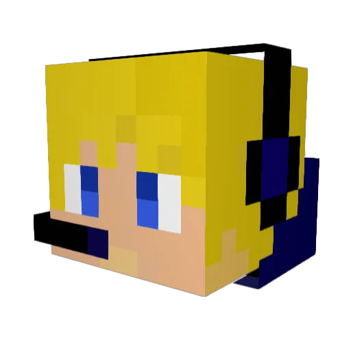 XboxFan228 Minecraft avatar head, 3D render