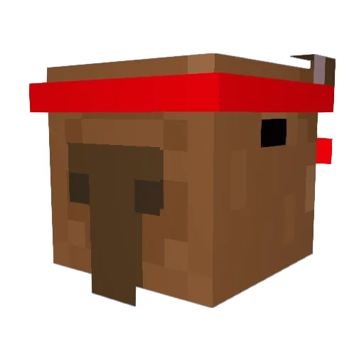 Xboxgamer3606 Minecraft avatar head, 3D render