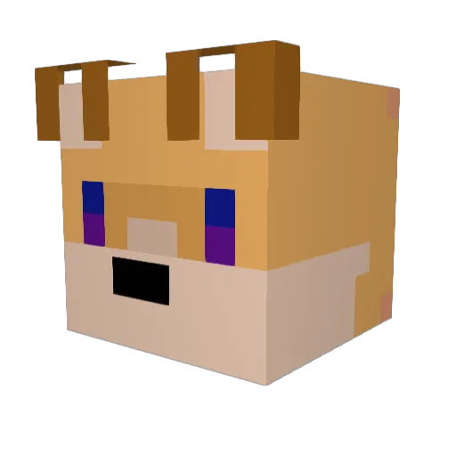 Xboy2213 Minecraft avatar head, 3D render