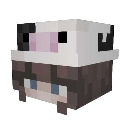Xbri_briX Minecraft avatar head, 3D render