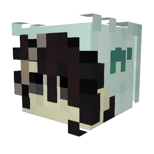 Xcangel Minecraft avatar head, 3D render