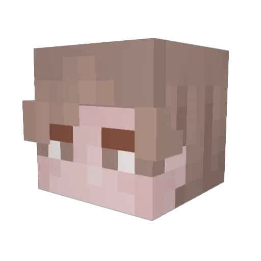 Xcellent73 Minecraft avatar head, 3D render