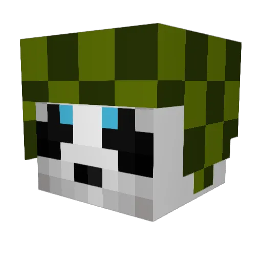 Xchavito00 Minecraft avatar head, 3D render