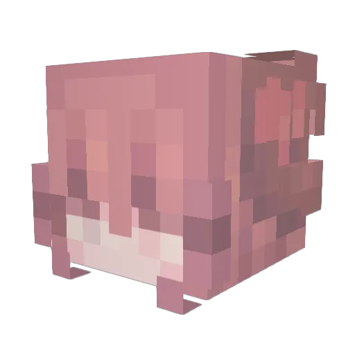 Xcloud_mist12X Minecraft avatar head, 3D render