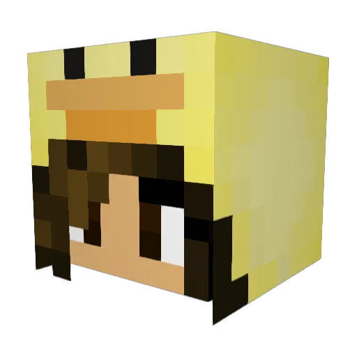 XcrazycrafterX Minecraft avatar head, 3D render