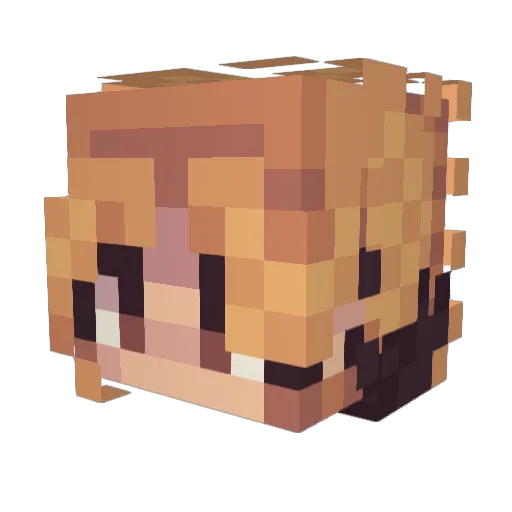 Xe3rg Minecraft avatar head, 3D render