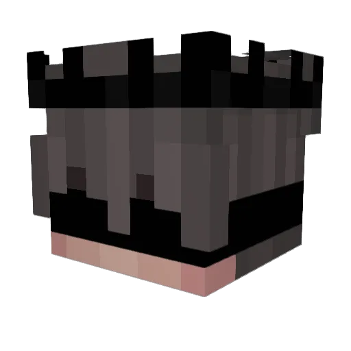 Xe7o Minecraft avatar head, 3D render