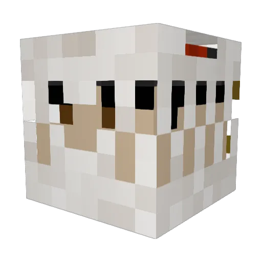 XeRoNoIsE Minecraft avatar head, 3D render