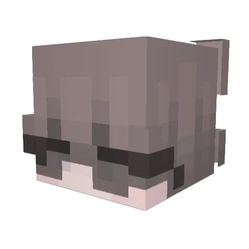 XeSIEGE Minecraft avatar head, 3D render