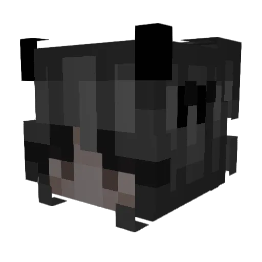 XeXeed551 Minecraft avatar head, 3D render