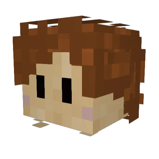 Xeblade07 Minecraft avatar head, 3D render