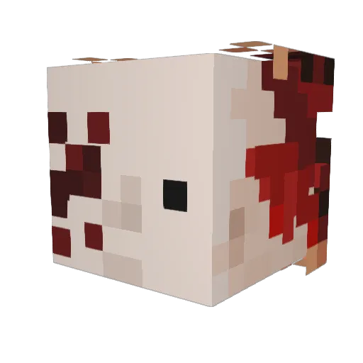 XedokX Minecraft avatar head, 3D render