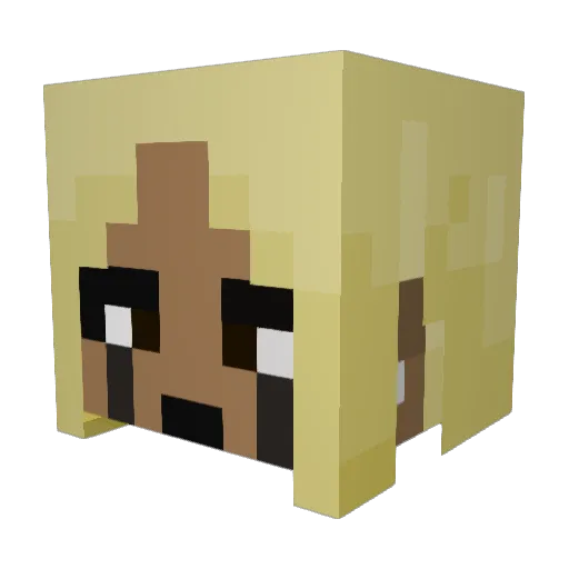 XeeD__ Minecraft avatar head, 3D render
