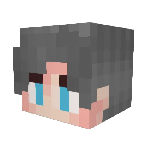 Xefil_ Minecraft avatar head, 3D render