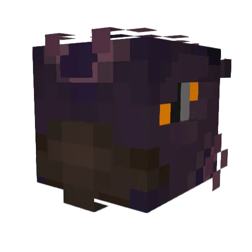 Xein000 Minecraft avatar head, 3D render