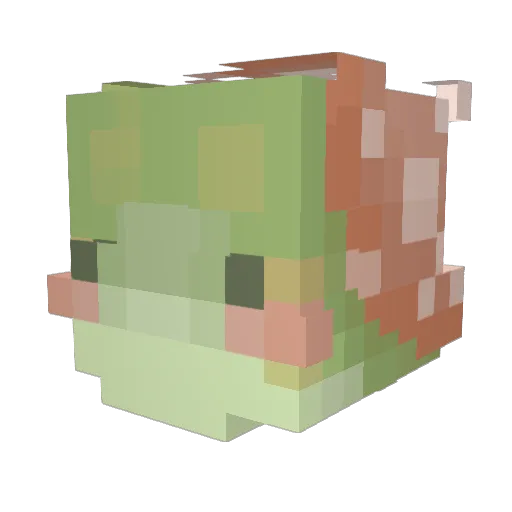 XelCat Minecraft avatar head, 3D render