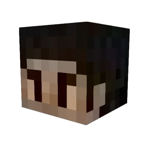 Xela0425 Minecraft avatar head, 3D render