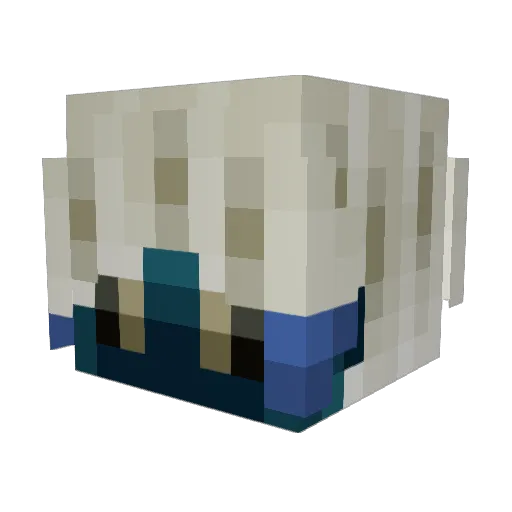 XelaEmin Minecraft avatar head, 3D render