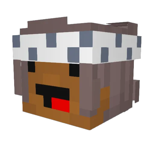 Xelaads Minecraft avatar head, 3D render