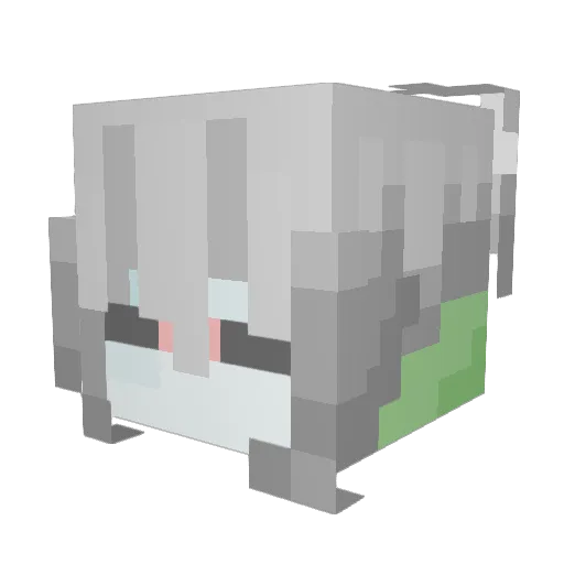 Xelagro Minecraft avatar head, 3D render