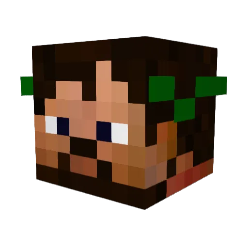 Xelastix Minecraft avatar head, 3D render