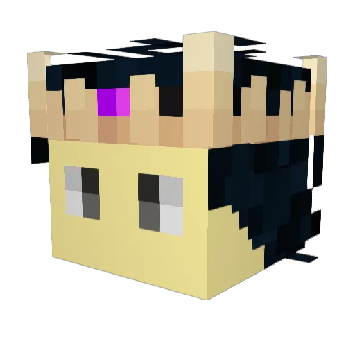 XelectroDiscX Minecraft avatar head, 3D render