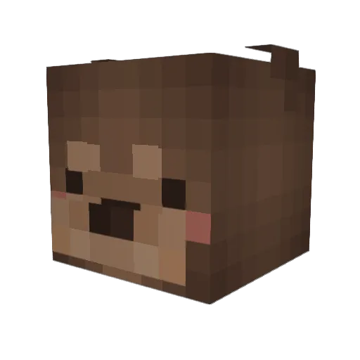 Xeliakani Minecraft avatar head, 3D render