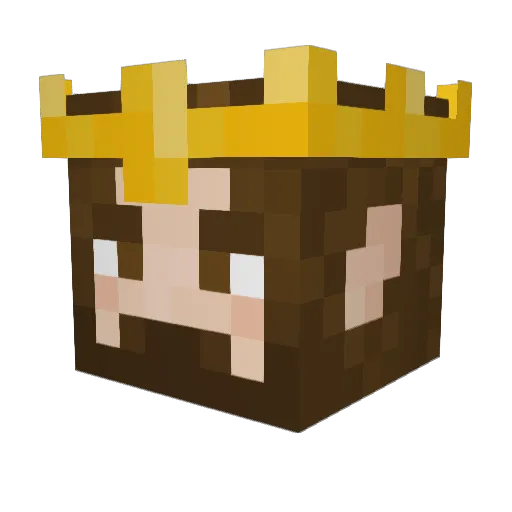 Xelion444 Minecraft avatar head, 3D render