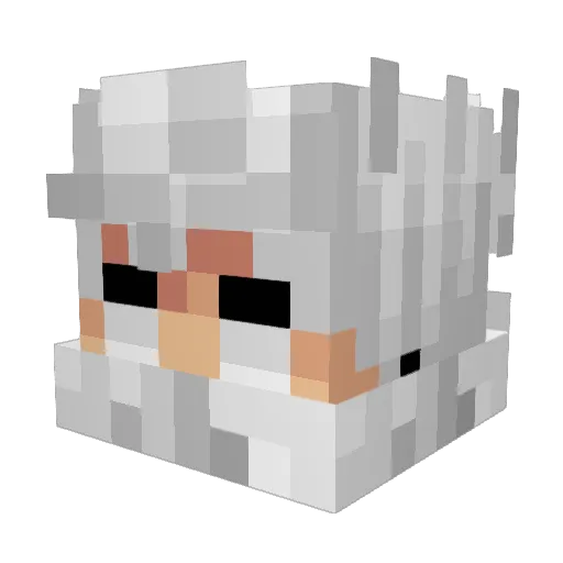 Xeliuss Minecraft avatar head, 3D render