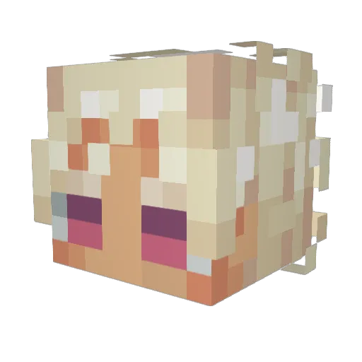 Xelix13 Minecraft avatar head, 3D render