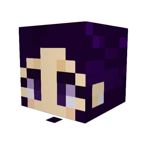Xellerator01 Minecraft avatar head, 3D render