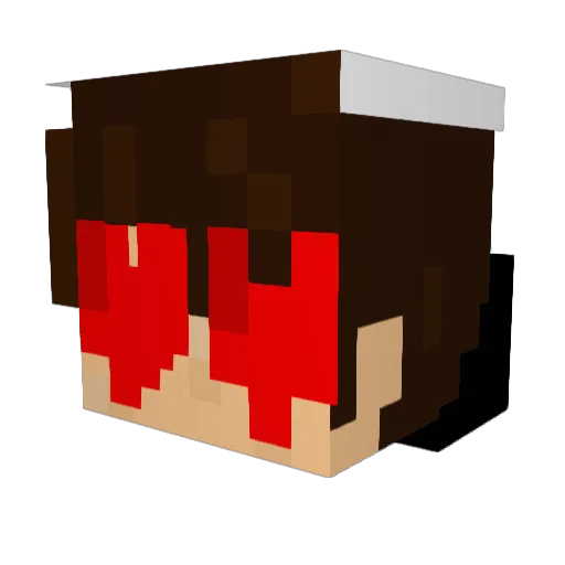XellyBelly Minecraft avatar head, 3D render