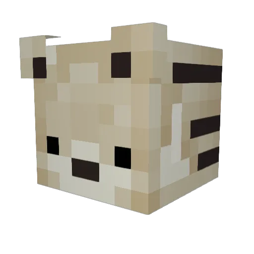 Xelmz Minecraft avatar head, 3D render